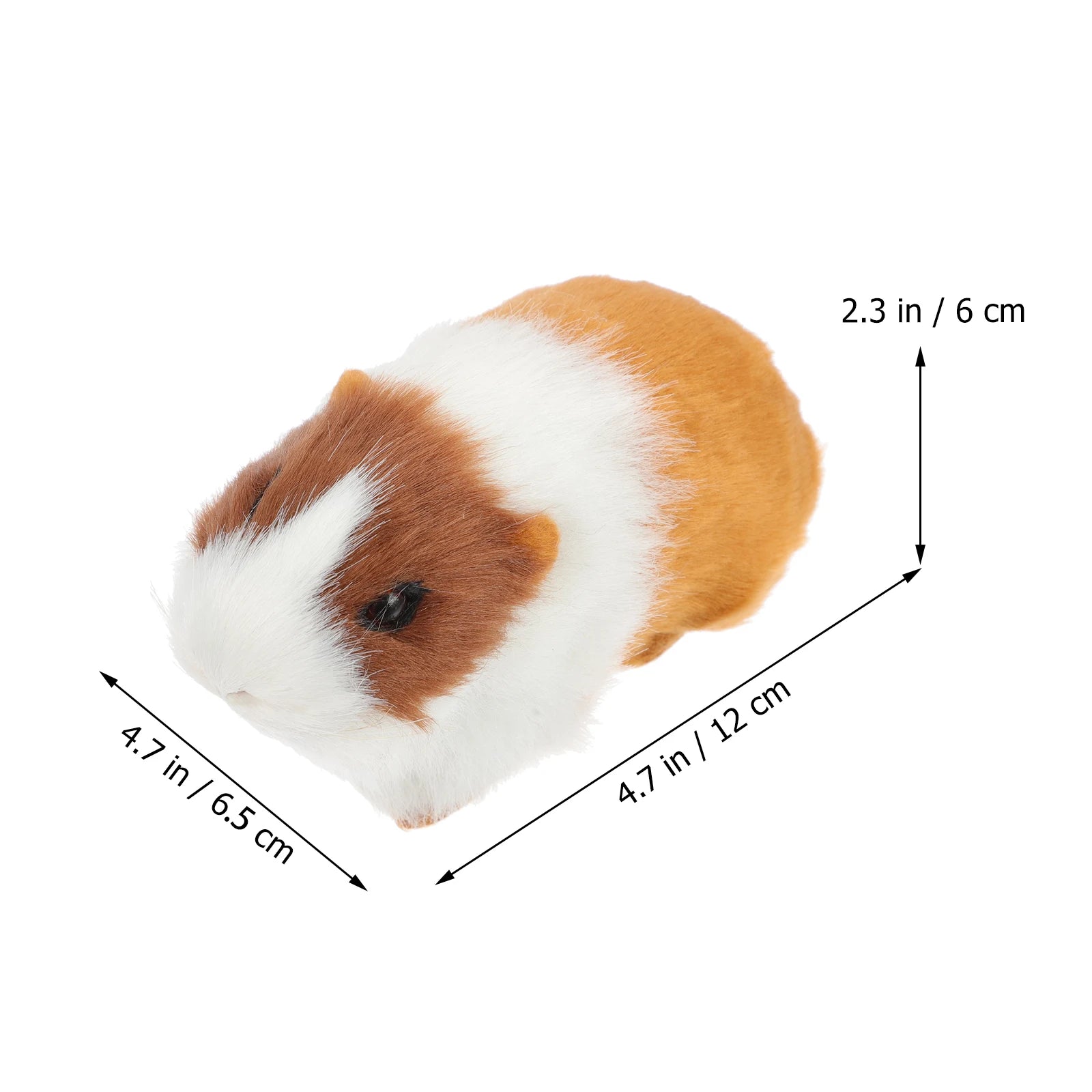 Teddy bear guinea pig