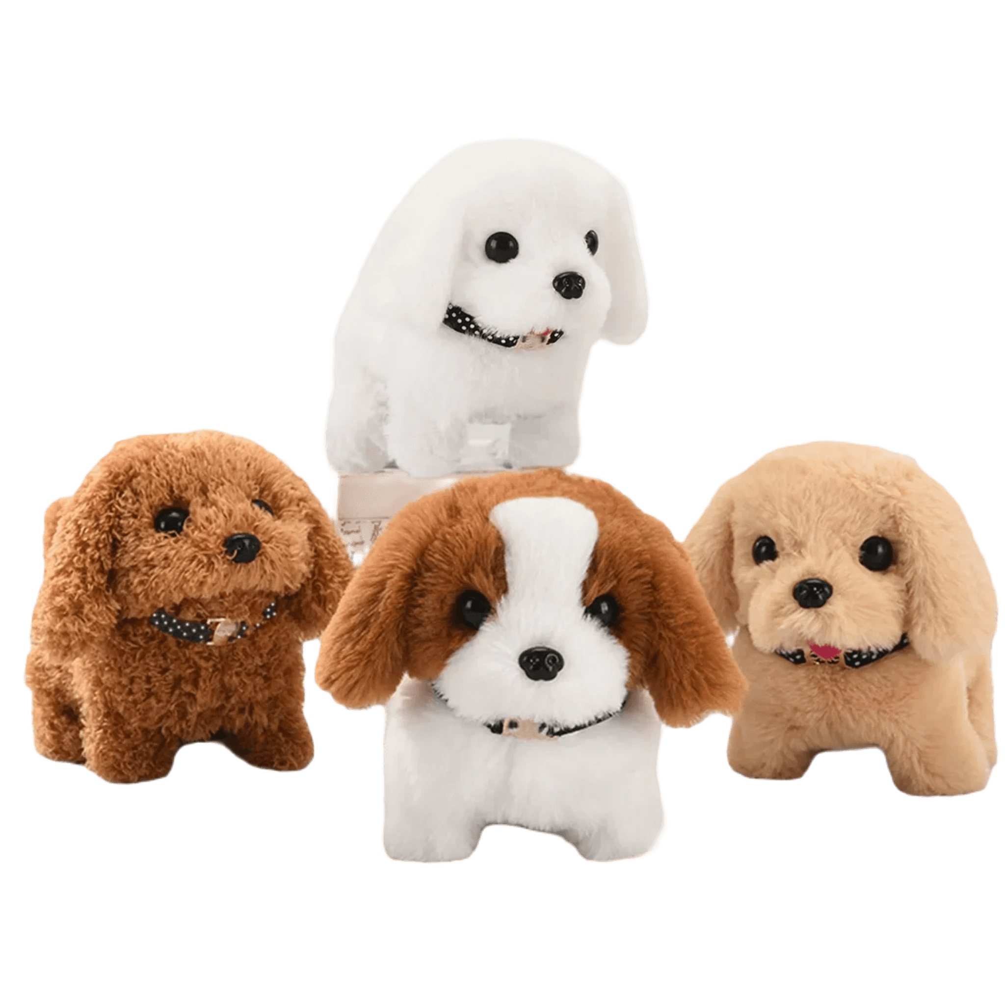 Shih tzu teddy bear cut