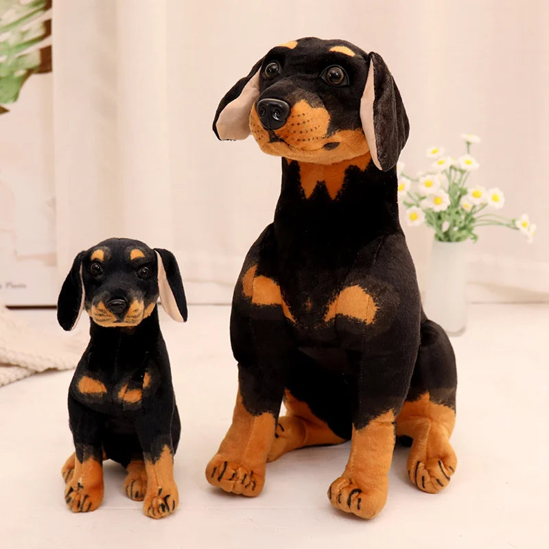 Rottweiler teddy