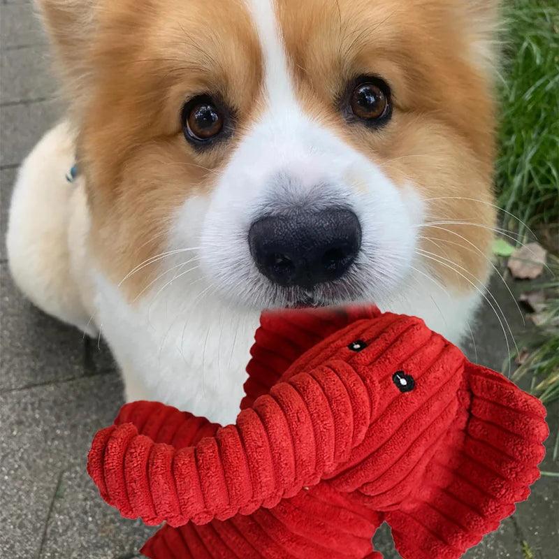 Dog plush toy