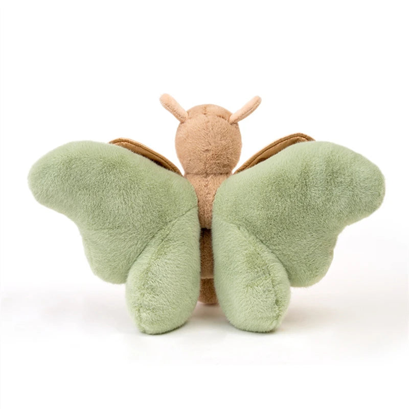 Butterfly teddy