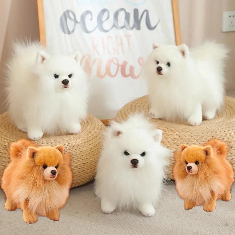 Pomeranian plush toy