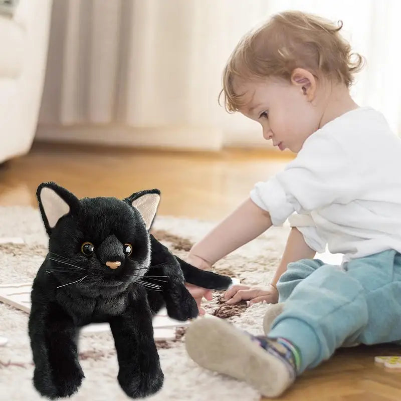 Black cat teddy