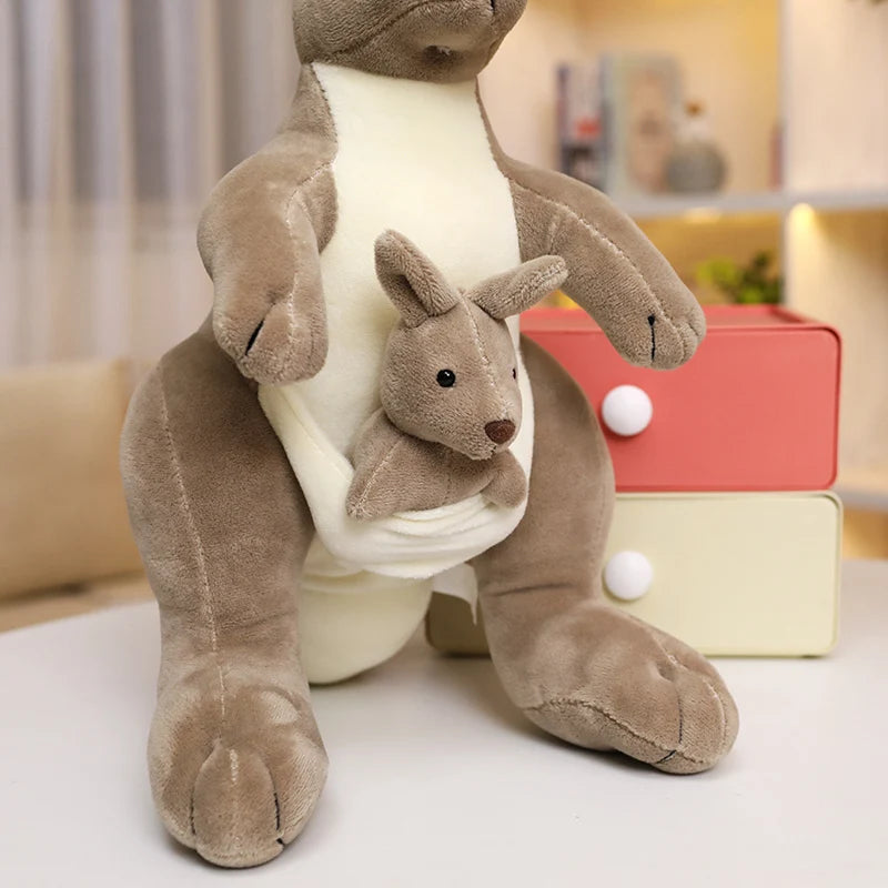 Teddy kangaroo