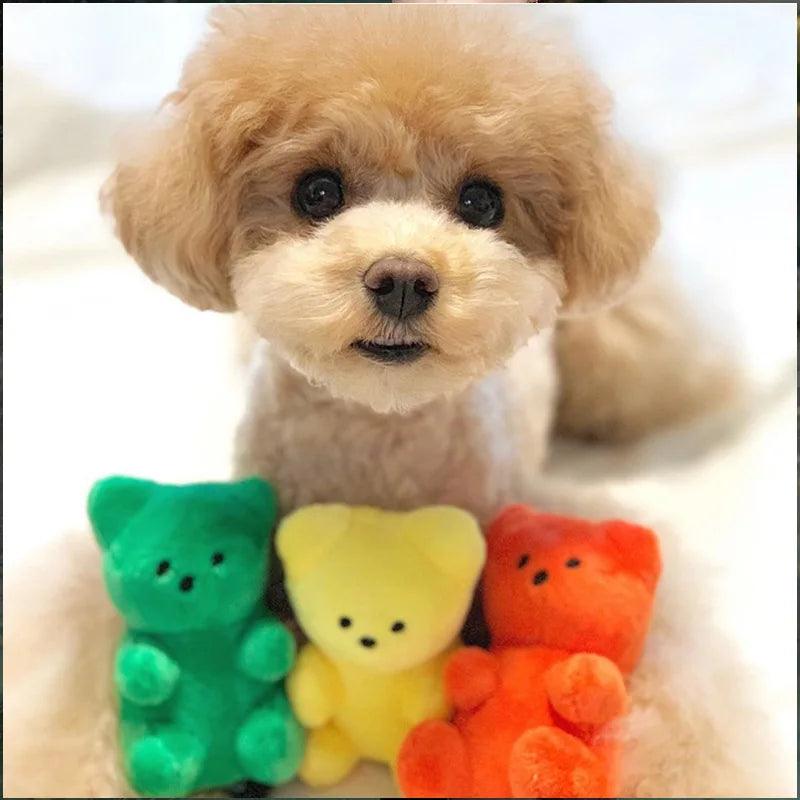 Small teddy bear dog