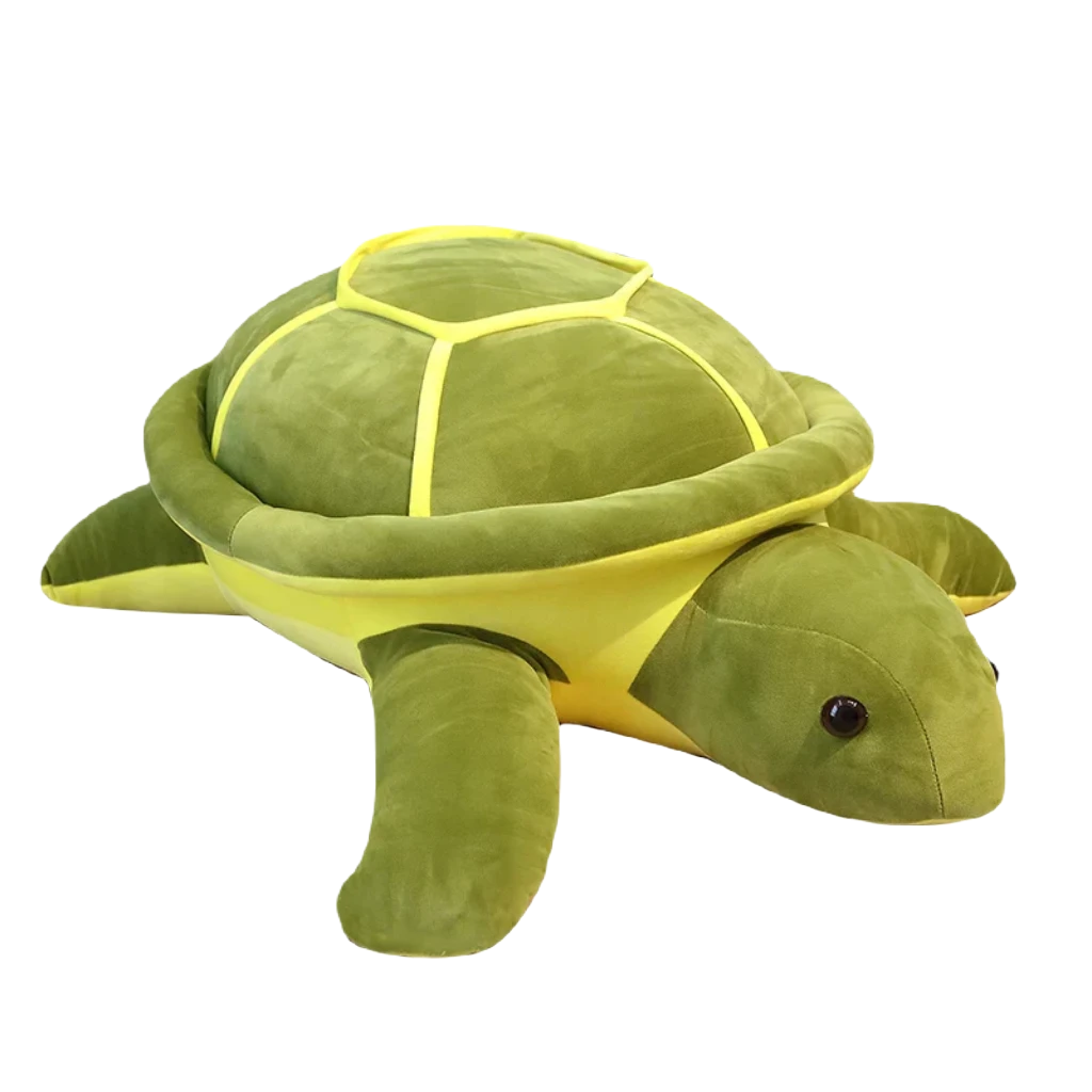 Turtle teddy