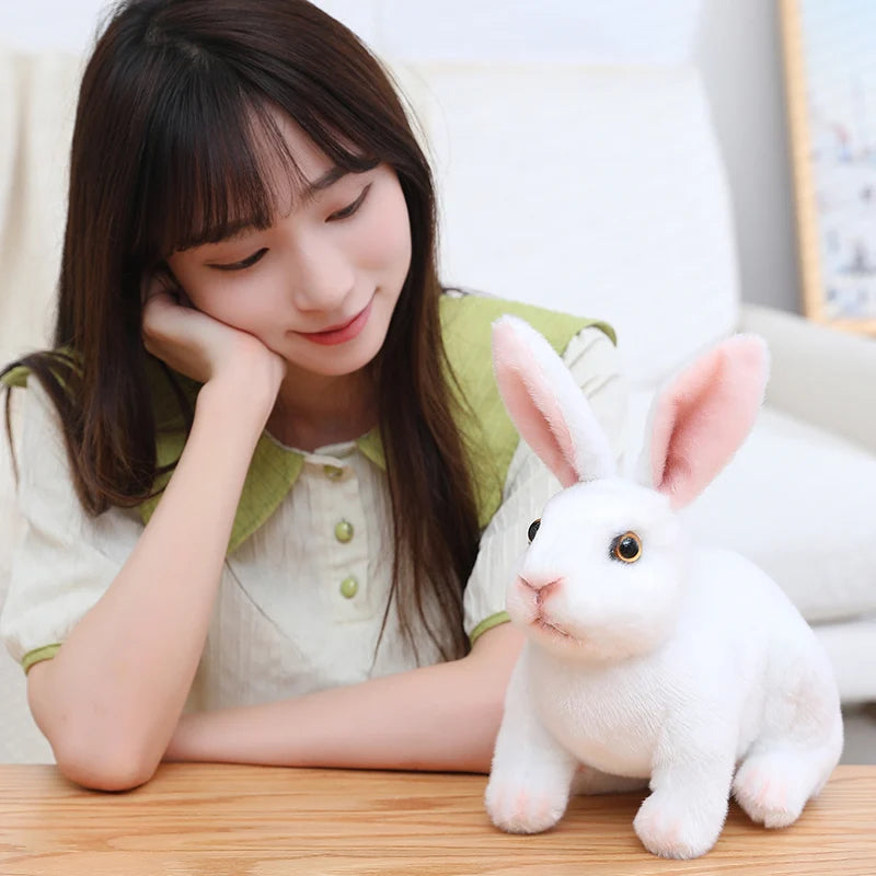 Bunny rabbit plush toy