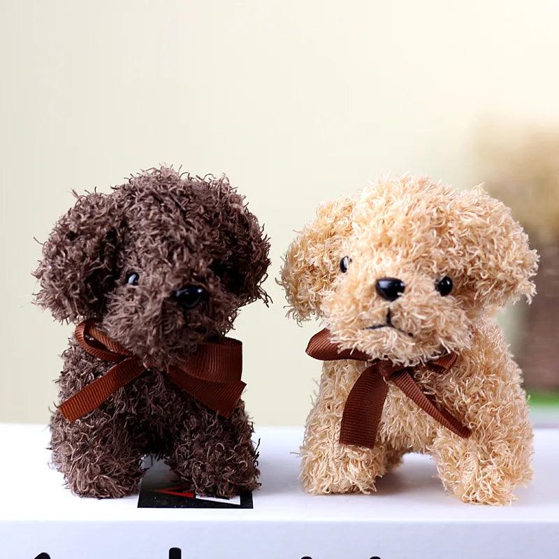 Teddy bear dogs