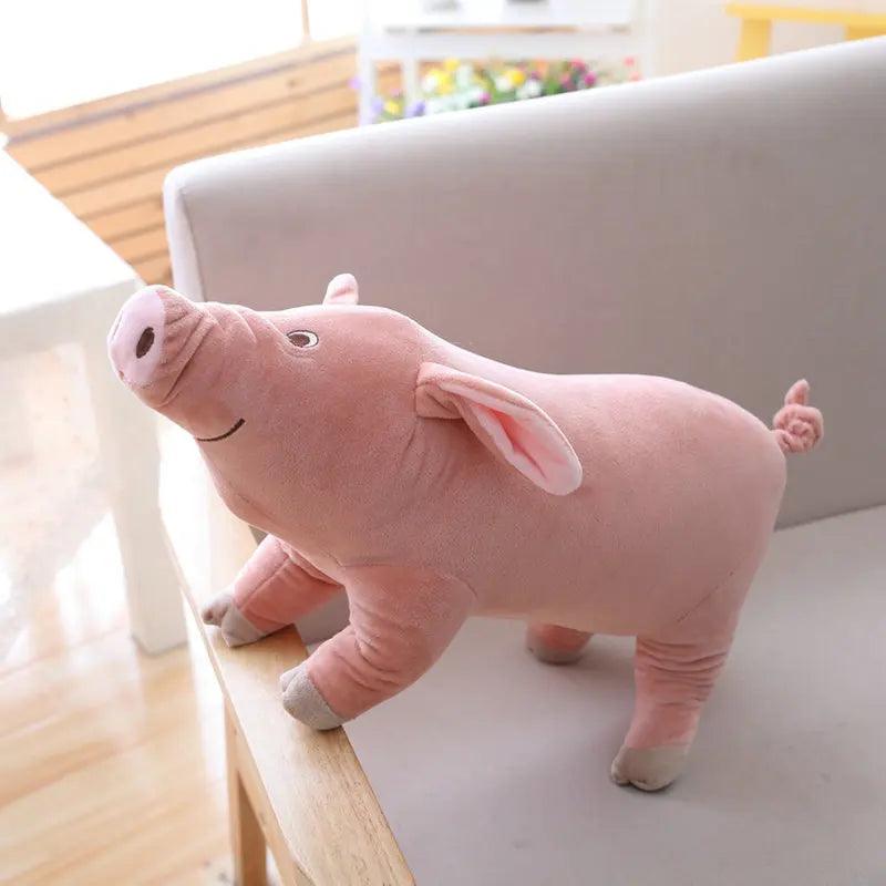 Giant piglet teddy