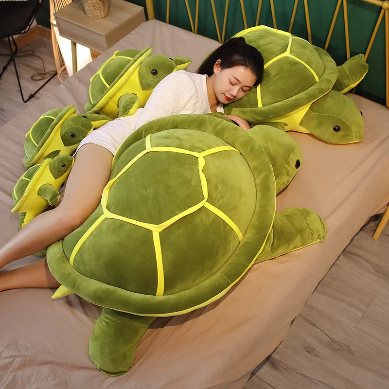 Turtle teddy