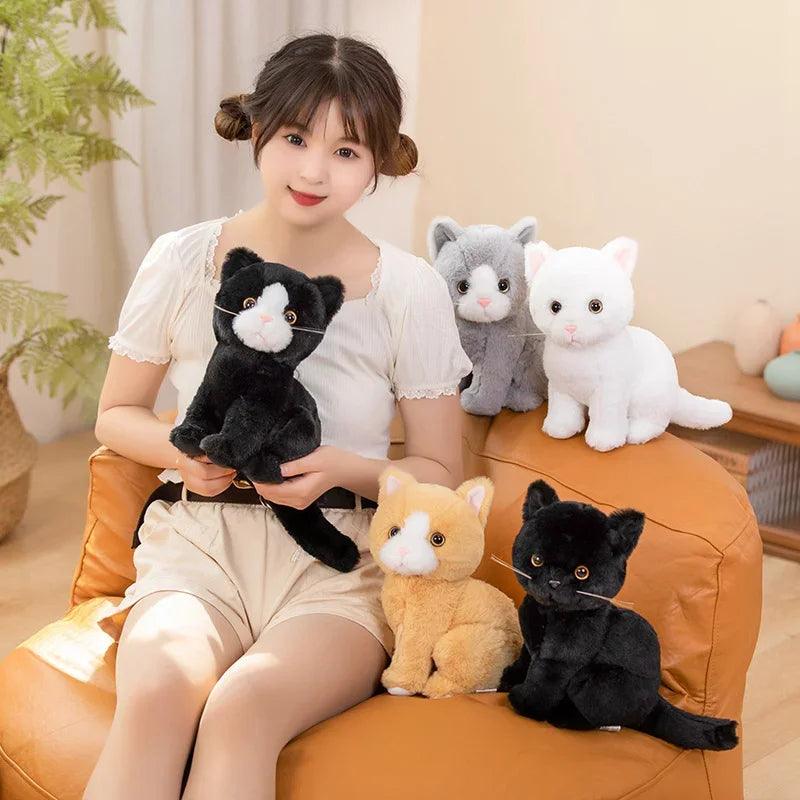 Black cat plush