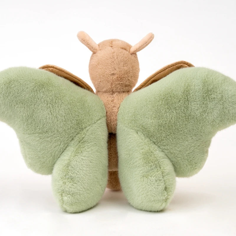 Butterfly teddy