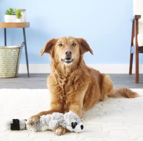 Kong dog plush toys